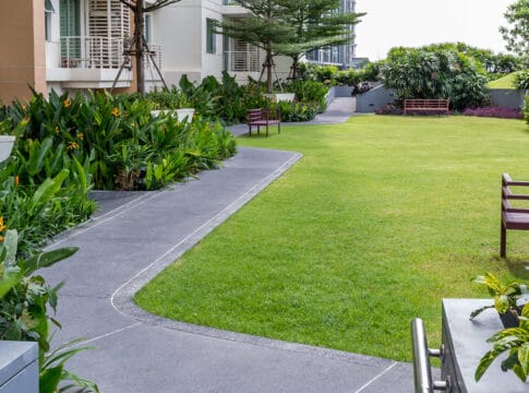 Création de Site Internet pour Élagueur et Entretien de Jardin à Nantes et Loire-Atlantique