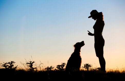 Création de Site Internet pour Pension Canine et Éducateur Canin à Nantes